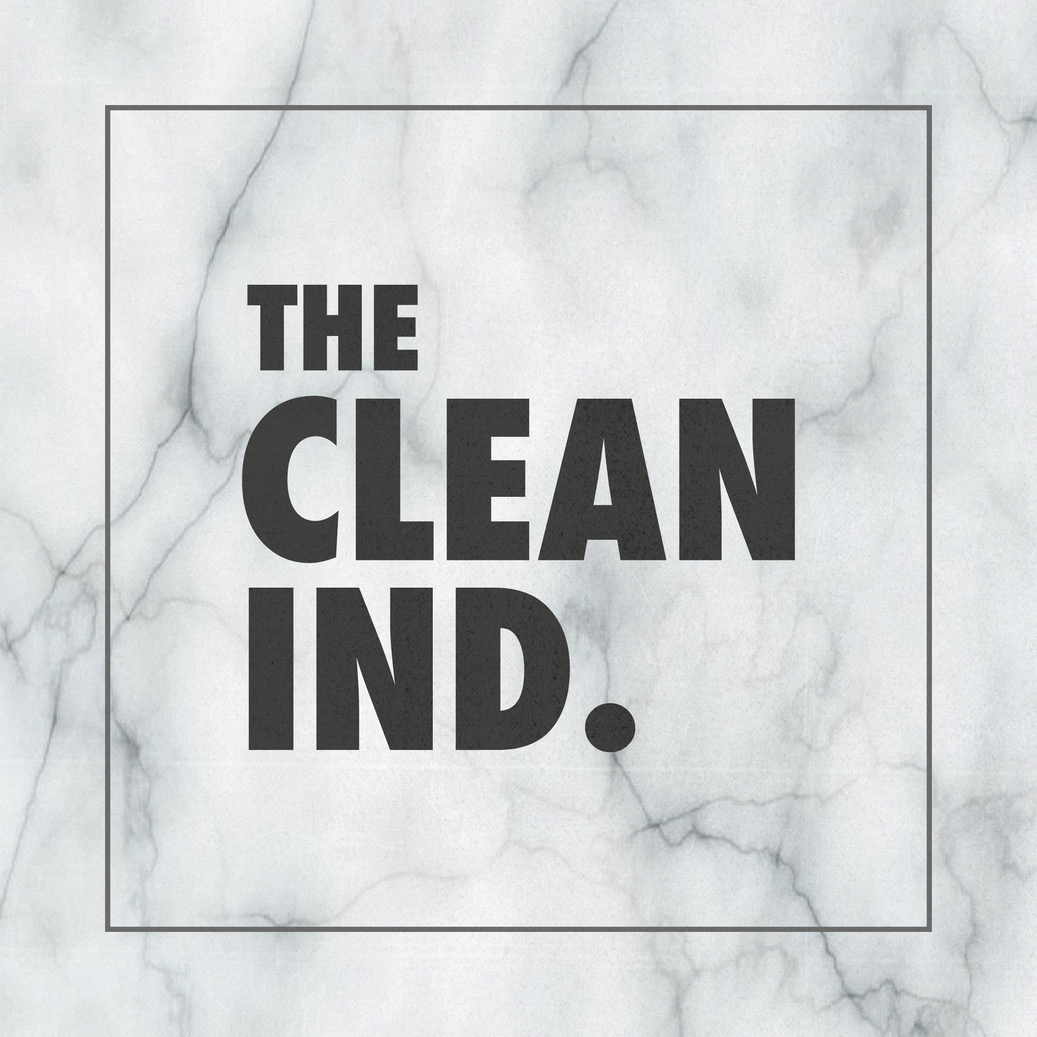 The Clean Industry