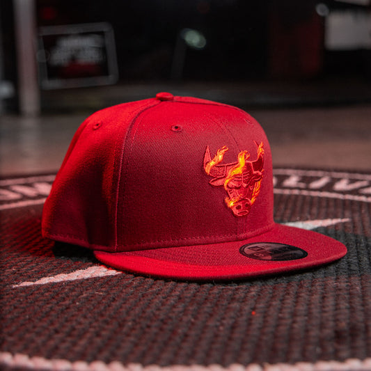 CHICAGO BULLS NBA SANPBACK