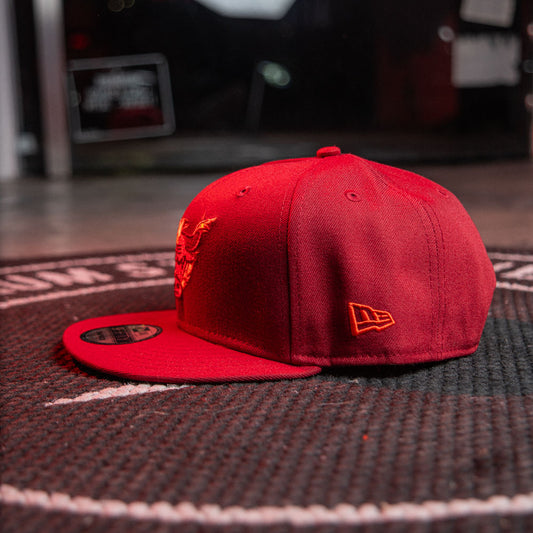 CHICAGO BULLS NBA SANPBACK