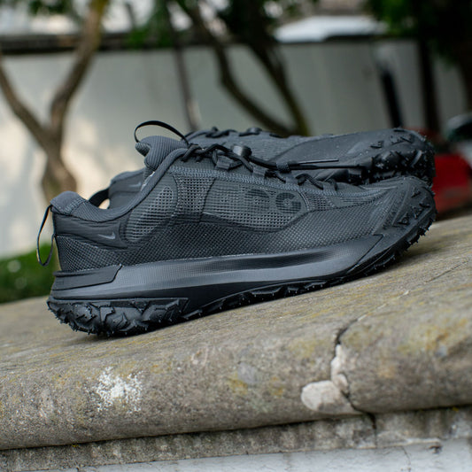 ACG MOUNTAIN FLY 2 LOW GTX / DK SMOKE GREY-BLACK-BLACK-ANTHRACITE