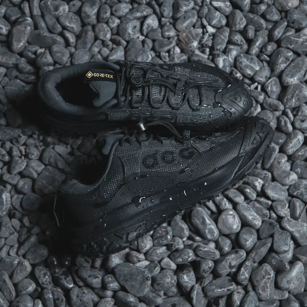 ACG Mountain Fly 2 Low GORE-TEX Black and Dark Smoke Grey