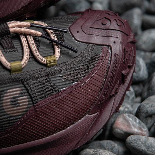 ACG MOUNTAIN FLY 2 LOW GTX / VELVET BROWN-BLACK-BURGUNDY CRUSH-HEMP