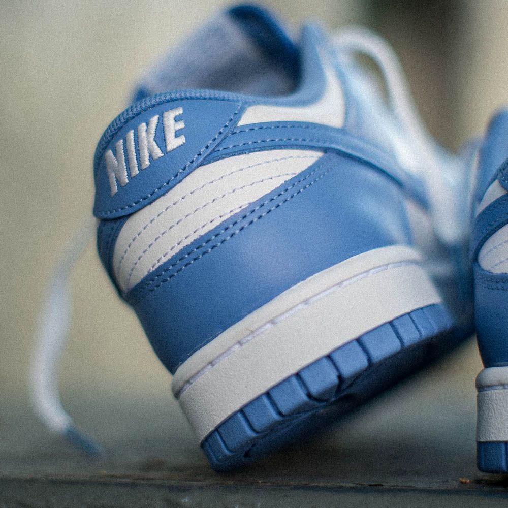 Nike Dunk Low Retro BTTYS Polar Blue+betonsst24.ru