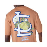Playera Manga Corta St. Louis Cardinals MLB Fruit - Playera